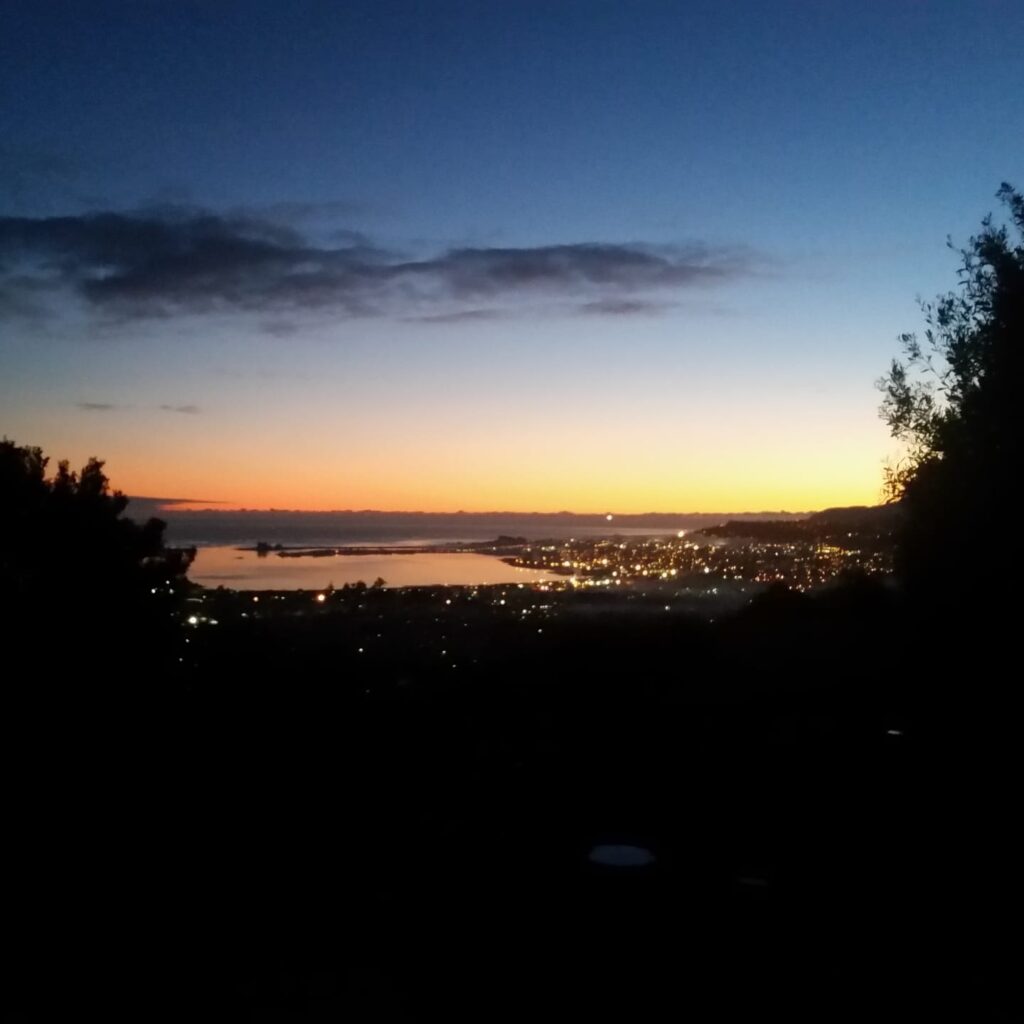 nelson at night nelson at night